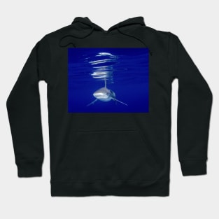 Shark With Vivid Reflections Hoodie